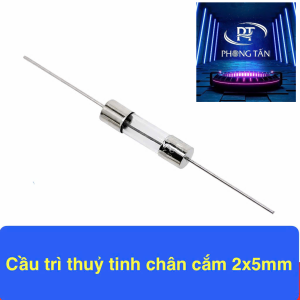 Cầu chì thủy tinh chân cắm 10A (5×20mm)